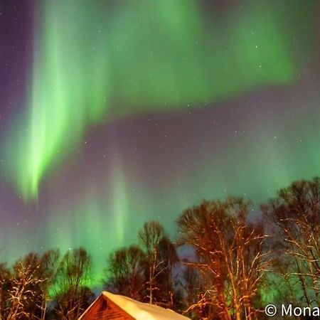 Susitna River Lodging, Suites Talkeetna Exterior foto