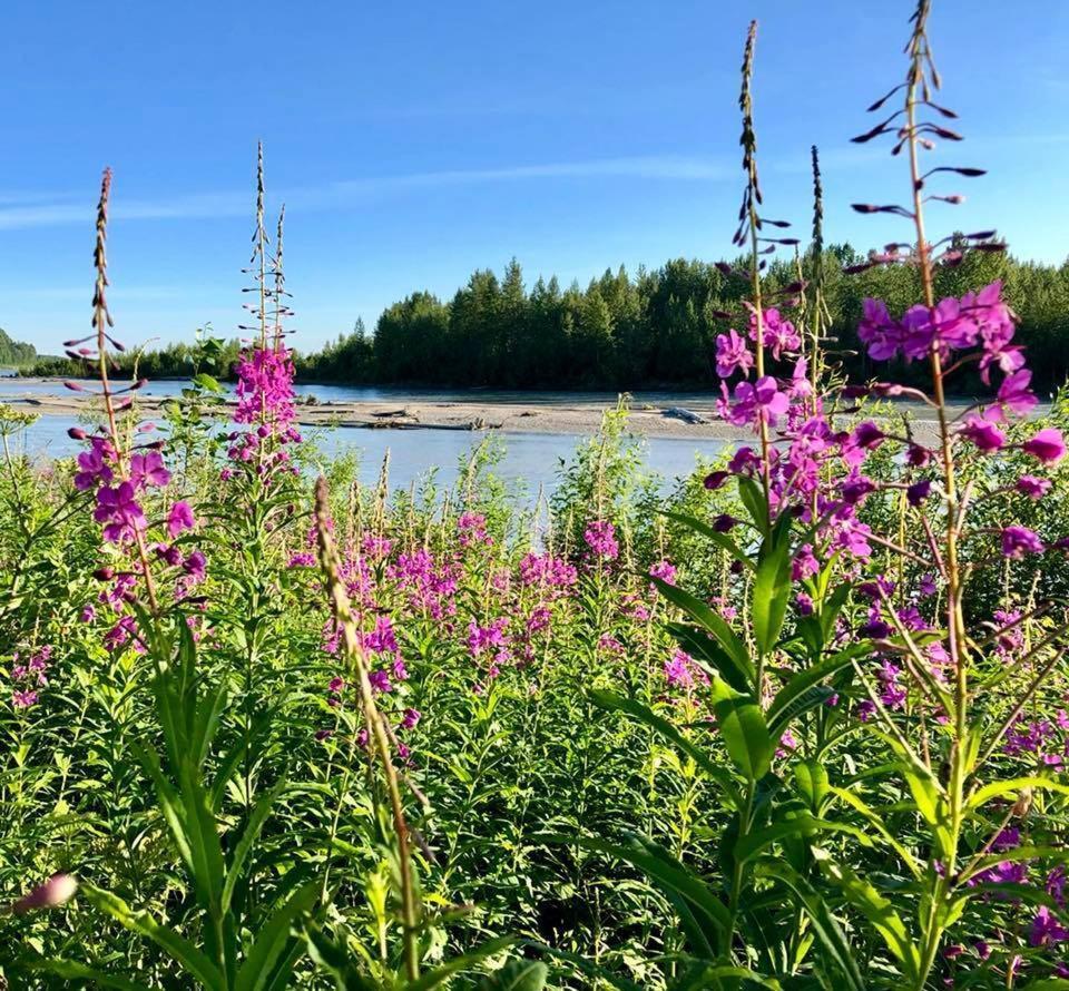 Susitna River Lodging, Suites Talkeetna Exterior foto